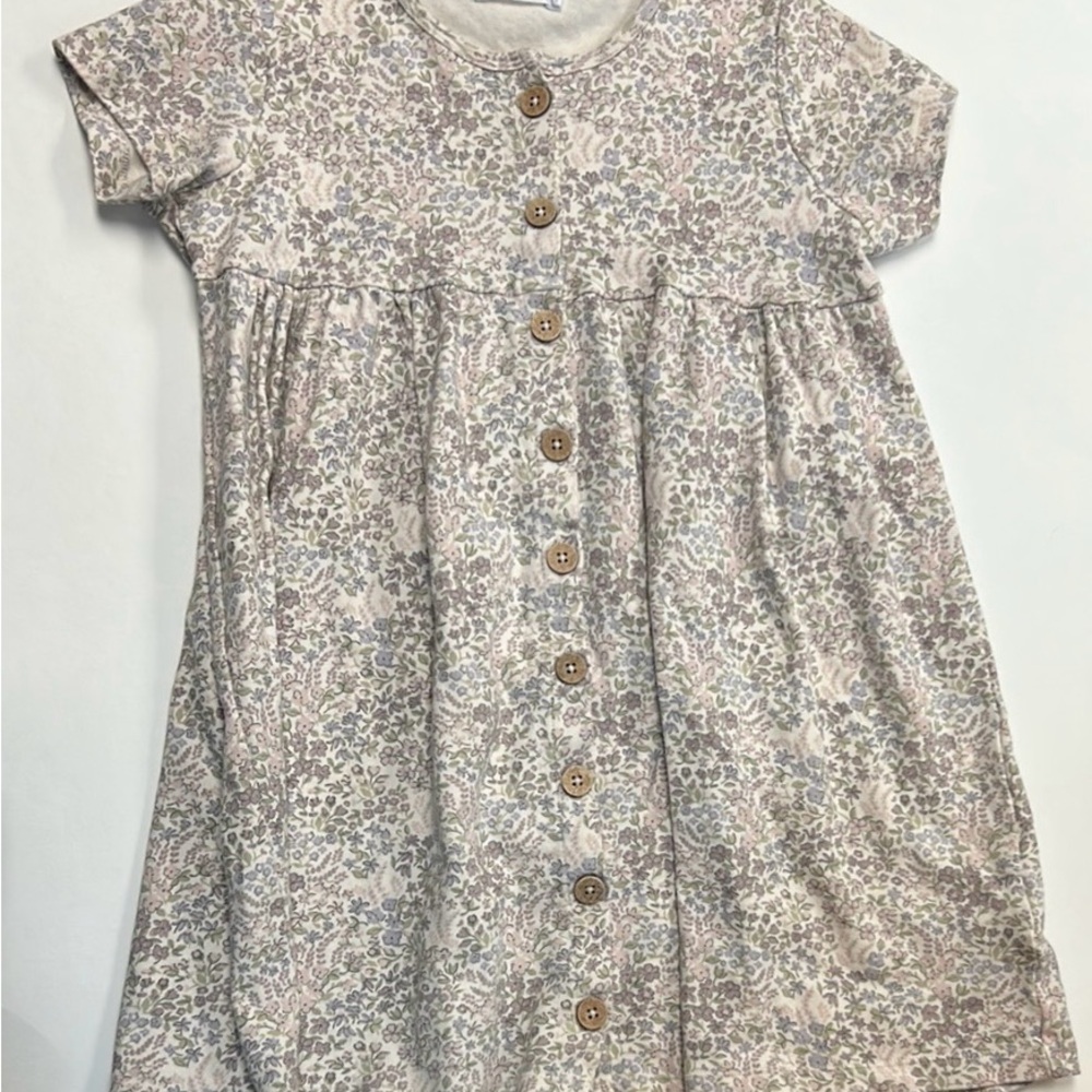 Jamie Kay Pastel Floral Button-Down Dress